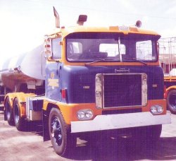 Dynaplas truck mudguards