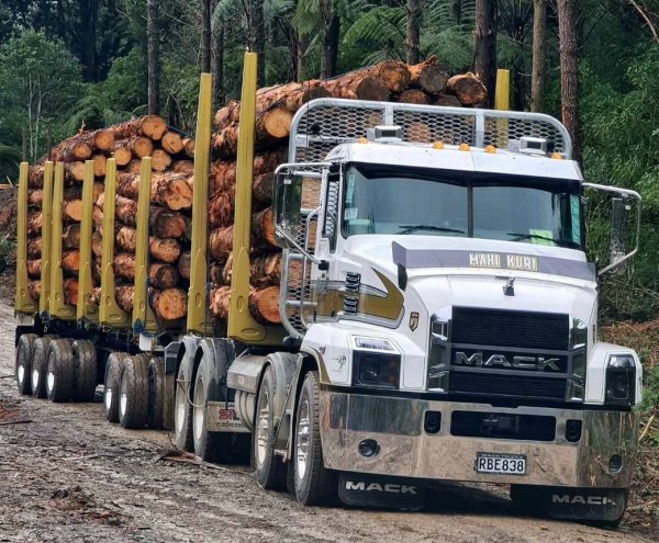Truck Mudguards and Fenders