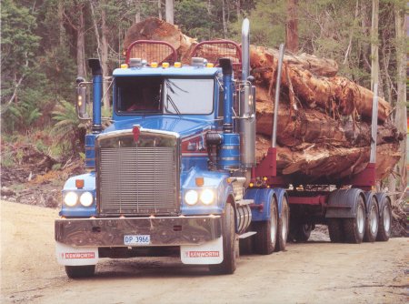 Kenworth Truck Mudguards and Fenders