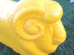 Golden Fleece Ram